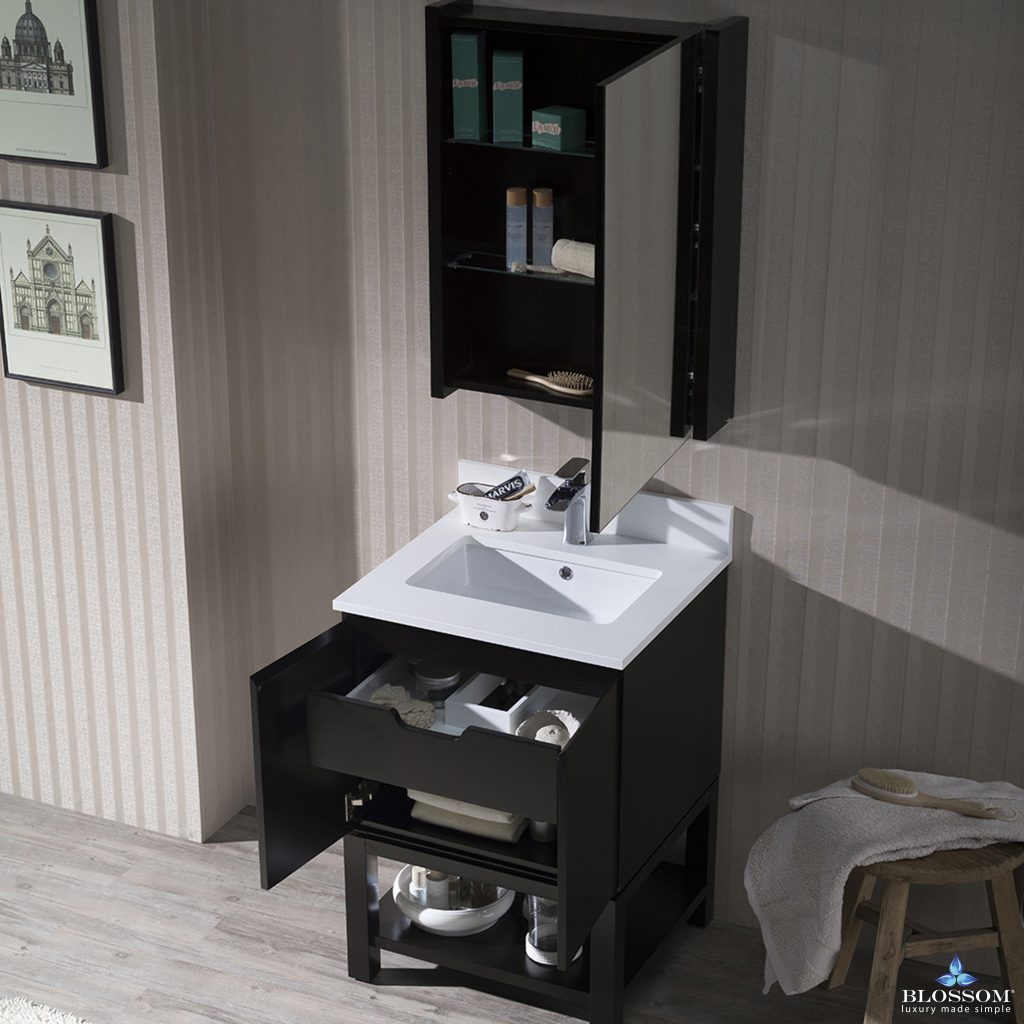Monaco 24 Inch Vanity (Wall Hung, Chrome Legs, Wood Legs)