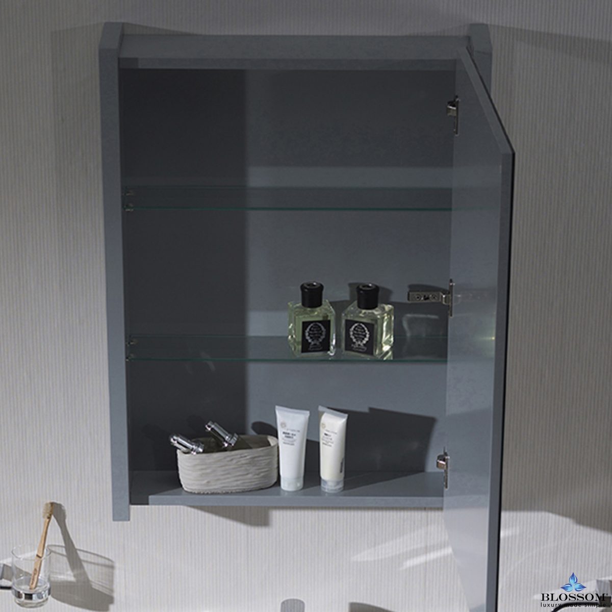 Monaco 24 Inch Medicine Cabinet