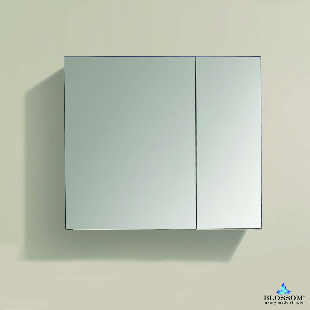 25″ Aluminum Medicine Cabinet with Mirror – MC7 2526